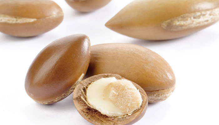 Argon-Oil Image of argan nuts, one open showing wher argan oil comes from