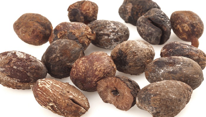 Shea-Butter Shea nuts illustrating where shea butter comes from