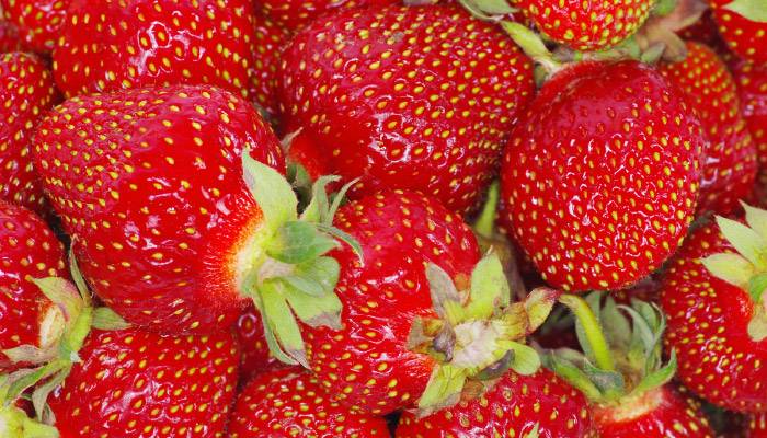 Strawberry-Seed-Oil_400h